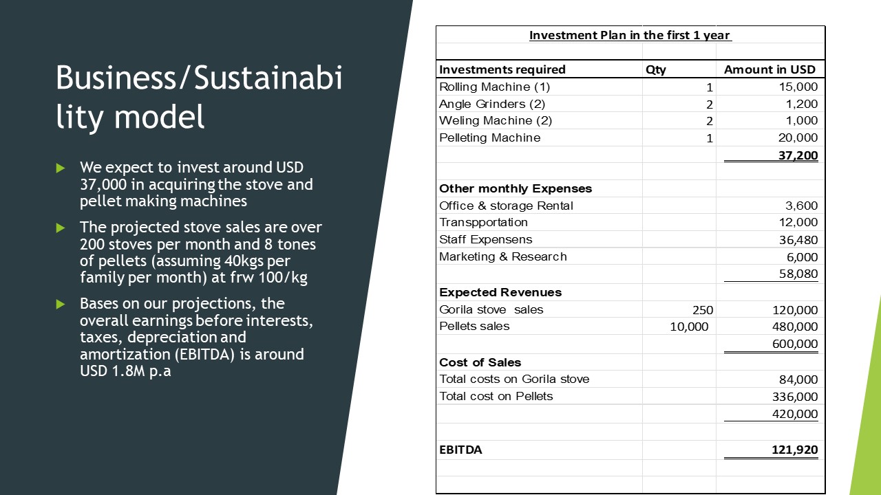 Business model and first-year investment plan