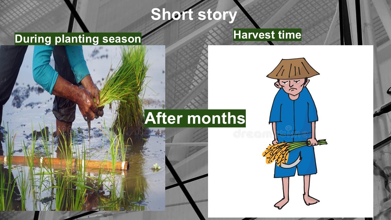 Manual planting season vs disappointing harvest outcomes