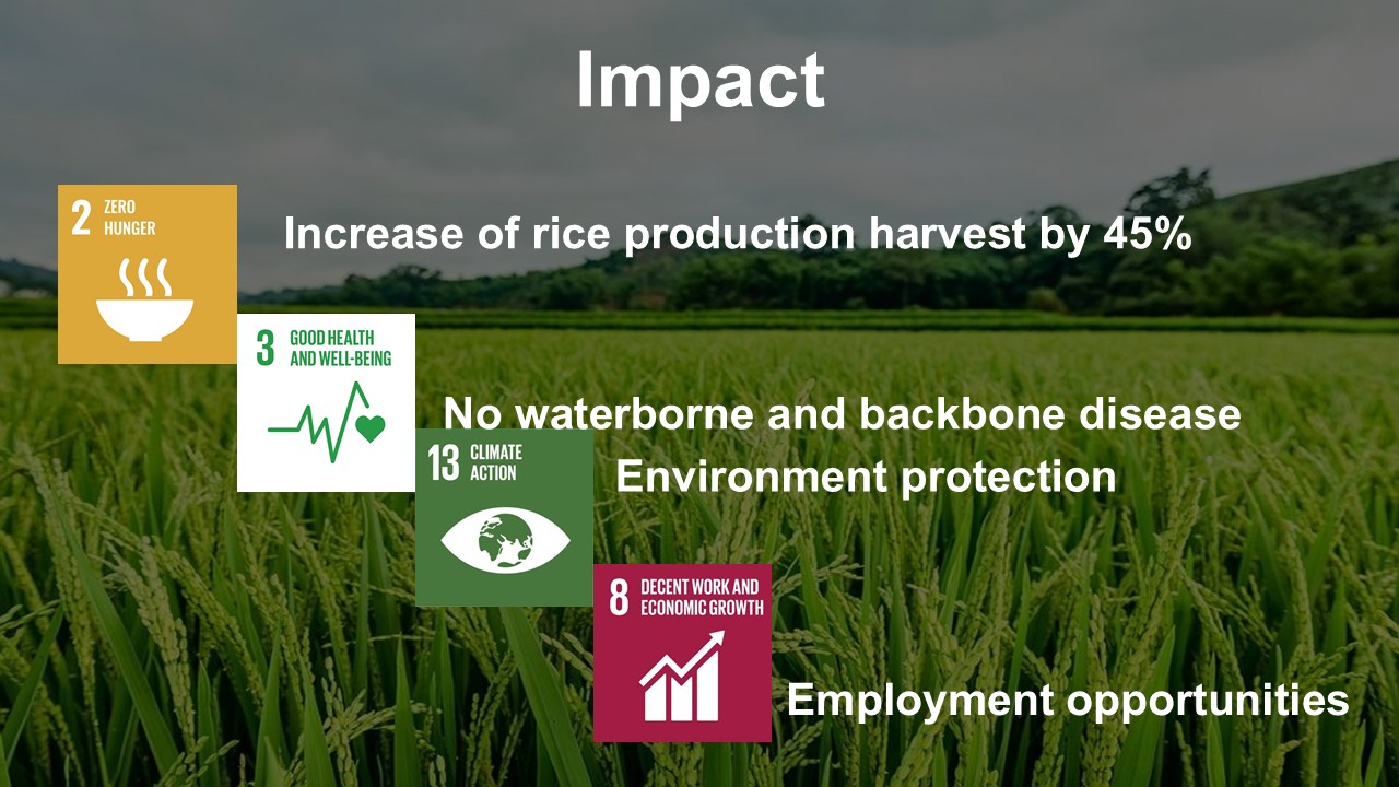 Social and environmental impact aligned with SDGs