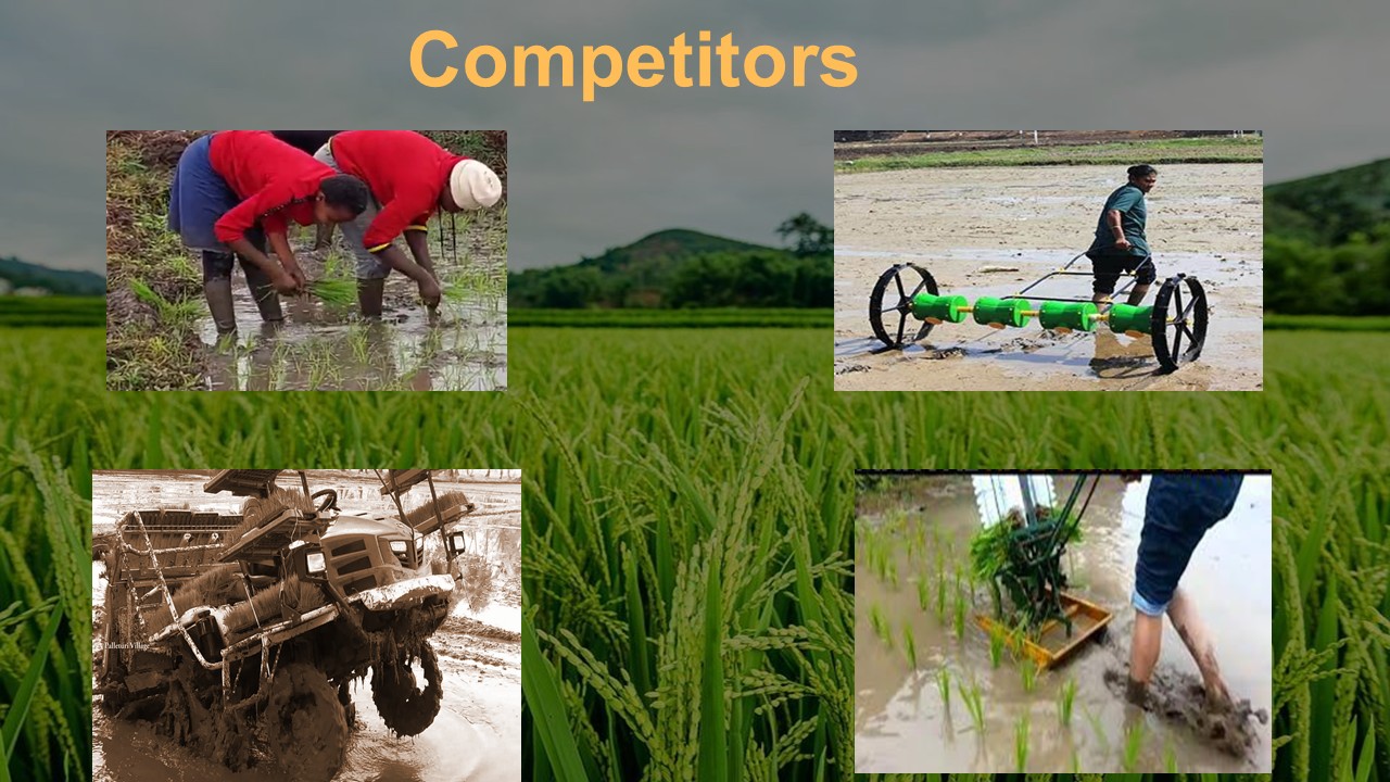 Competing rice planting methods from manual to industrial
