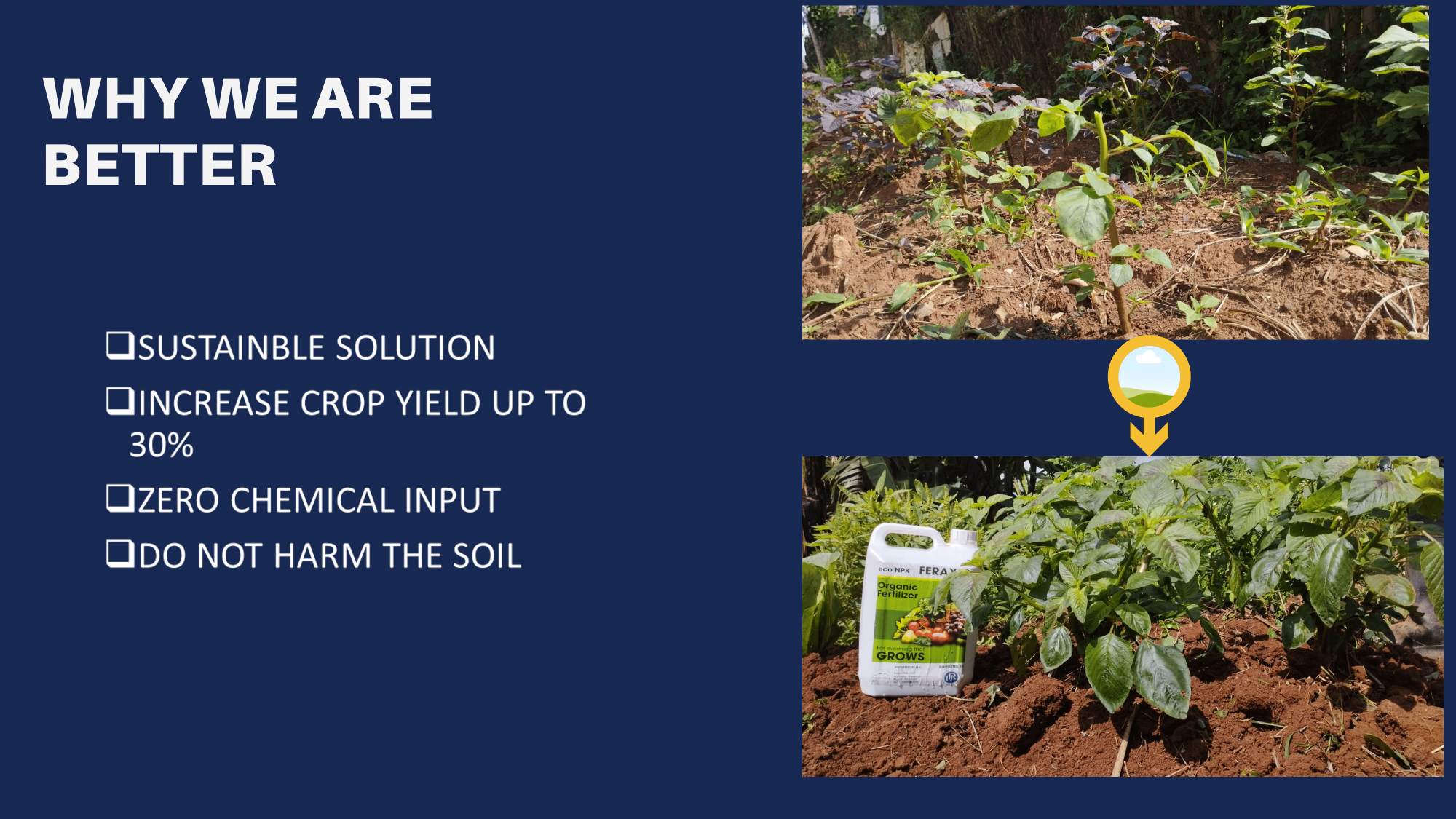 Crop yield improvement with FERAXIO organic fertilizer