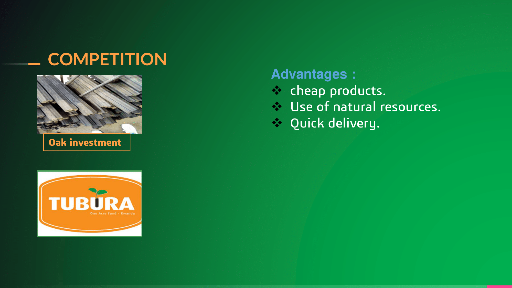 Competitors and Green Home competitive advantages