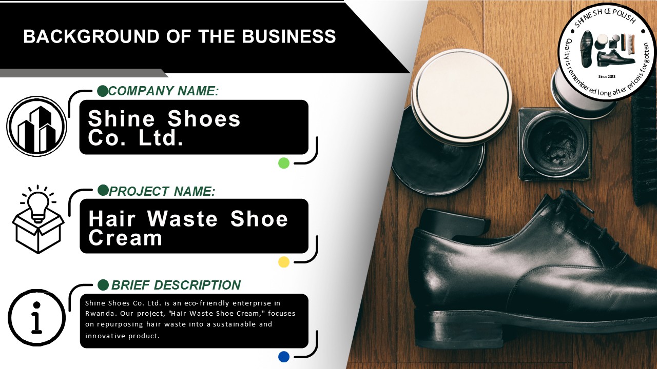 Shine Shoes company and project overview