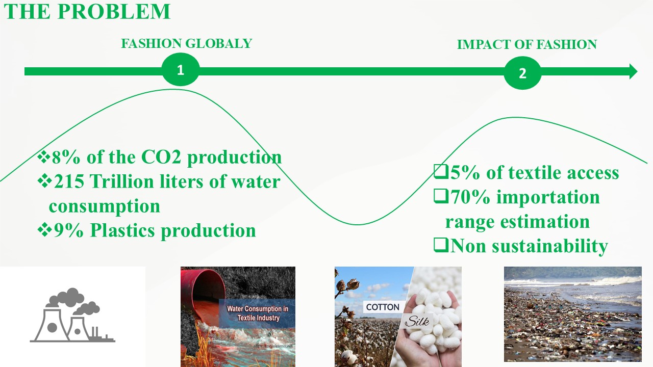 Environmental impact of global fashion industry