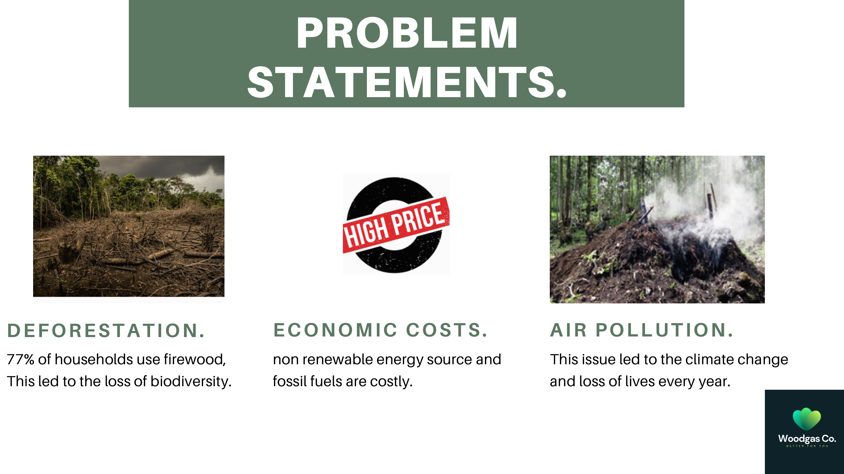 Deforestation, economic costs and air pollution from firewood use
