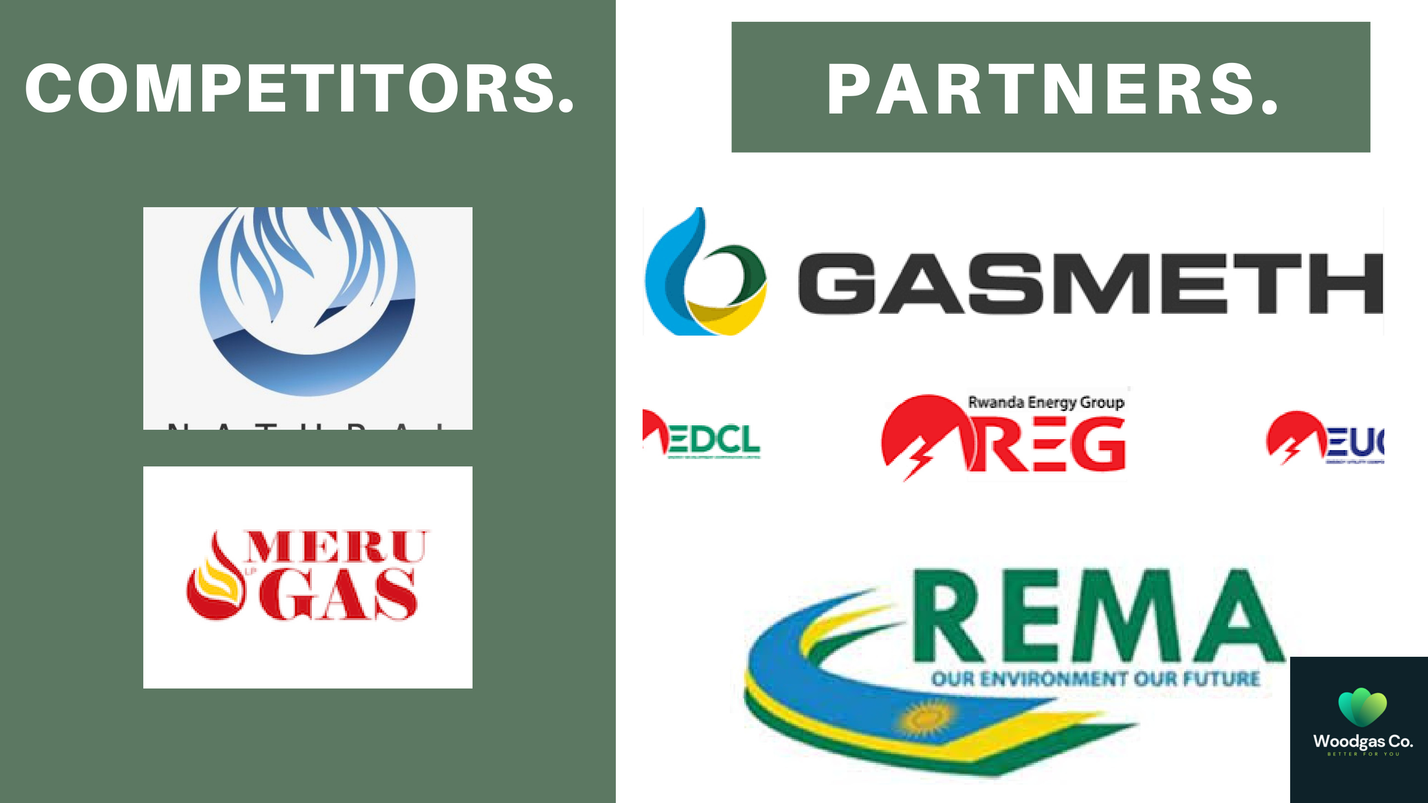 Competitive landscape and strategic partners