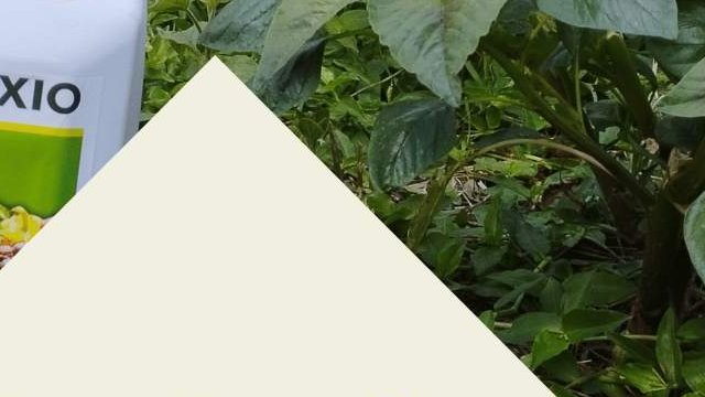 EcoFertilizer & Pesticides